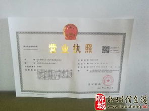 聊城市电视台《公益在行动》 用艺术文化服务传递城市温度